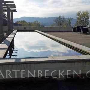 Gartenbecken 006